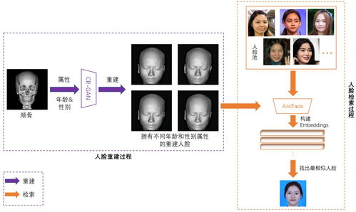 我国研究团队开发出首个颅面重建人脸检索系统